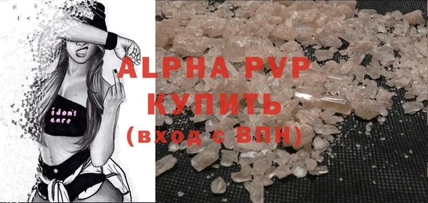 гашик Алексин