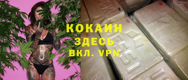 амф Алзамай