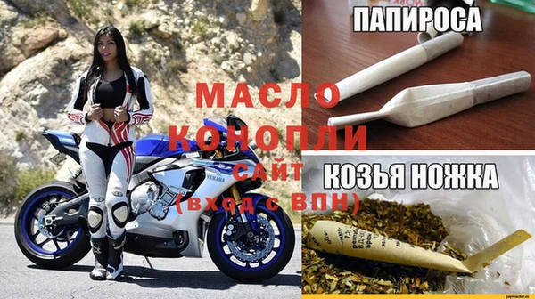 гашик Алексин