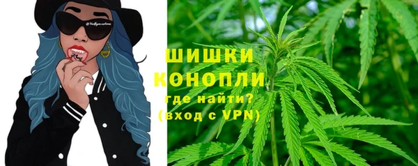 гашик Алексин