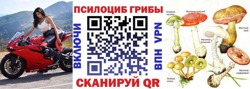 наркота  Пыталово  Галлюциногенные грибы Psilocybine cubensis 